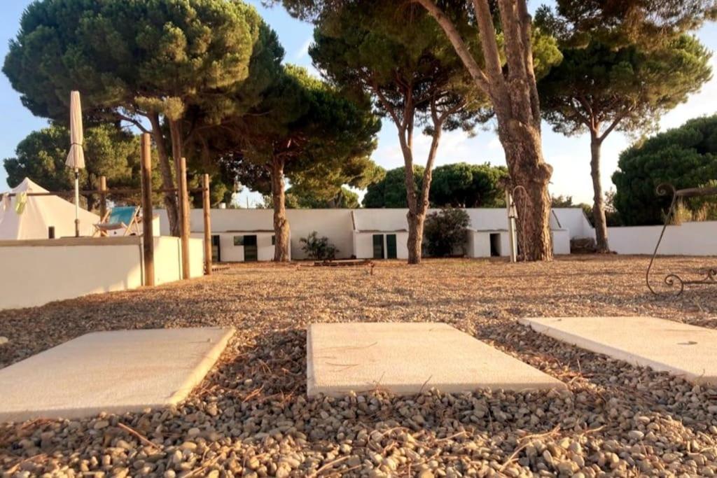 Cadiz - Buda, Acogedor Apartamento En Chiclana De La Frontera, Espana Dış mekan fotoğraf